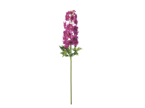 DELPHINIUM ROMANCE CM106 FUXIA – BRUCO