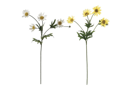 RAMO MARGHERITE X4 CM49 ASSBIANCO/GIALLO