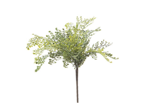 BUSH CAPELVENERE CM45 VERDE – BRUCO