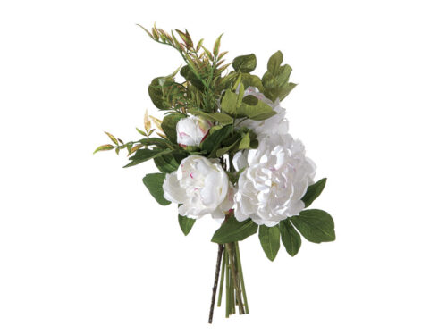 BUNDLE PEONIE X5 CM50 BIANCO – BRUCO