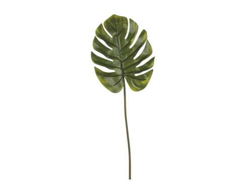 FOGLIA MONSTERA CM94/31 VERDE – BRUCO