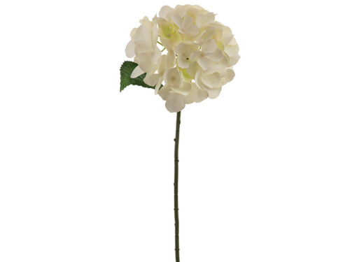 ORTENSIA CHANTAL X5 CM54 BIANCO- BRUCO