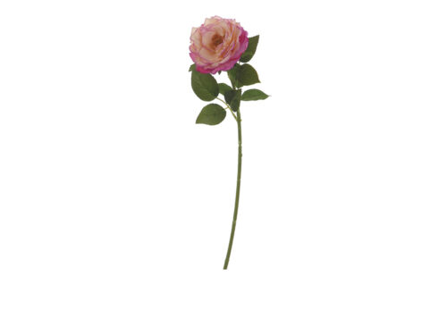 ROSA GIARDINO CM60 REAL TOUCH FUXIA – BRUCO