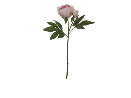 PEONIA C/BOCCIOLO CM62 REALTOUCH ROSA- BRUCO