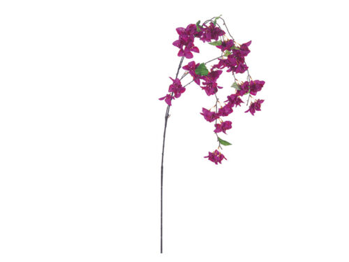 RAMO BOUGAINVILLEA CM150 FUXIA – BRUCO