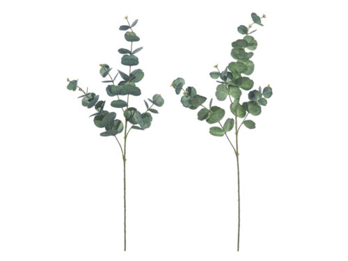 RAMO EUCALIPTUS X4 REAL TOUCH CM87