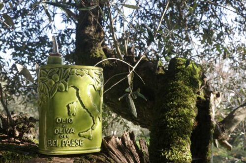 LATTINA OLIO OVALE H17 *BEL PAESE* VERDE – Virginia Casa