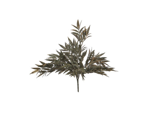 BUSH RUSCUS VERDE E ORO – BRUCO