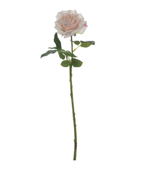 ROSA VENDELA REAL TOUCH BIANCO/ROSA – BRUCO
