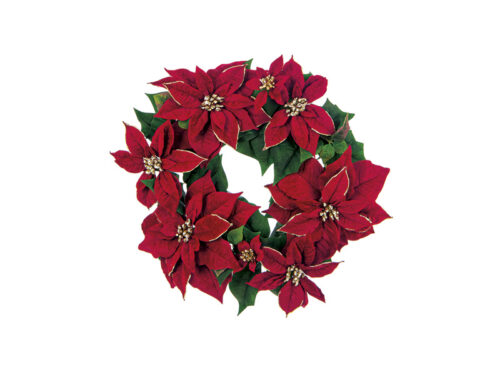 CORONA STELLE NATALE BRILIANT ROSSO – BRUCO