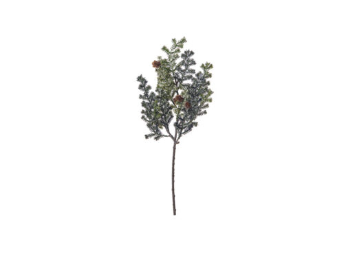 RAMO PINO FROSTED VERDE – BRUCO