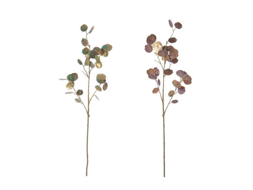 EUCALIPTUS GOLD BRUSH VERDE E ORO – BRUCO